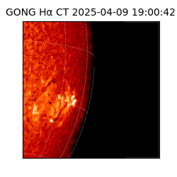 gong - 2025-04-09T19:00:42