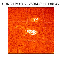 gong - 2025-04-09T19:00:42