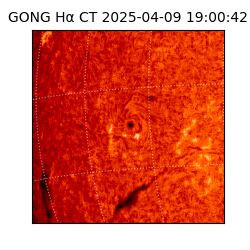 gong - 2025-04-09T19:00:42