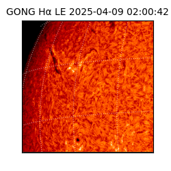 gong - 2025-04-09T02:00:42