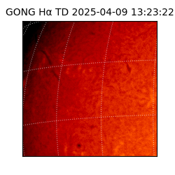 gong - 2025-04-09T13:23:22