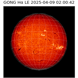 gong - 2025-04-09T02:00:42
