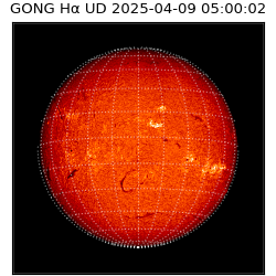 gong - 2025-04-09T05:00:02