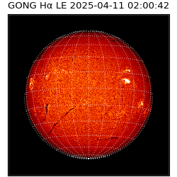 gong - 2025-04-11T02:00:42