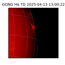 gong - 2025-04-13T13:00:22