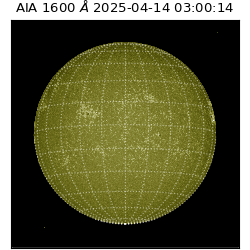 saia - 2025-04-14T03:00:14.122000