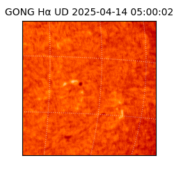 gong - 2025-04-14T05:00:02