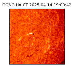 gong - 2025-04-14T19:00:42