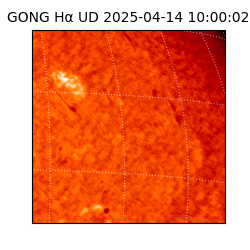 gong - 2025-04-14T10:00:02