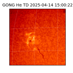 gong - 2025-04-14T15:00:22