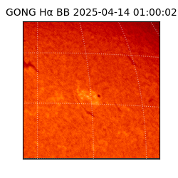 gong - 2025-04-14T01:00:02