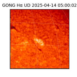 gong - 2025-04-14T05:00:02