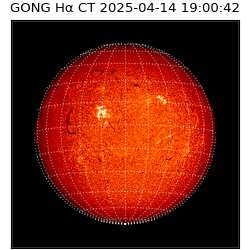 gong - 2025-04-14T19:00:42