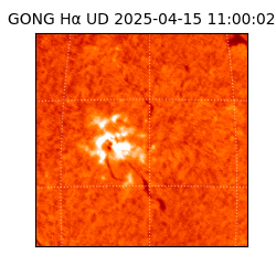 gong - 2025-04-15T11:00:02