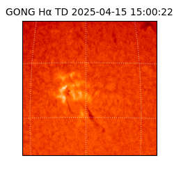 gong - 2025-04-15T15:00:22