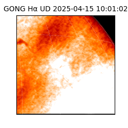 gong - 2025-04-15T10:01:02