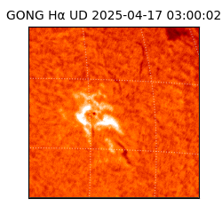 gong - 2025-04-17T03:00:02