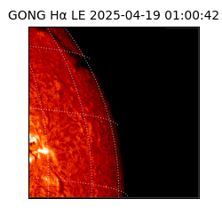 gong - 2025-04-19T01:00:42