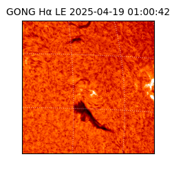 gong - 2025-04-19T01:00:42