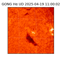 gong - 2025-04-19T11:00:02