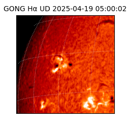 gong - 2025-04-19T05:00:02