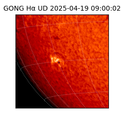 gong - 2025-04-19T09:00:02