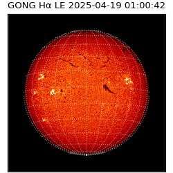 gong - 2025-04-19T01:00:42