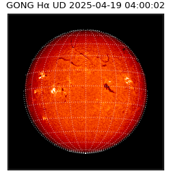 gong - 2025-04-19T04:00:02