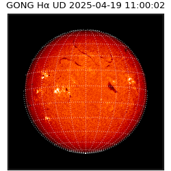 gong - 2025-04-19T11:00:02