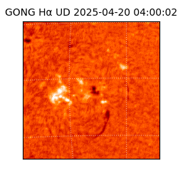 gong - 2025-04-20T04:00:02