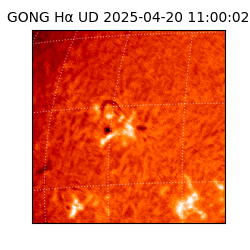 gong - 2025-04-20T11:00:02