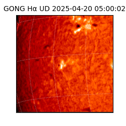 gong - 2025-04-20T05:00:02