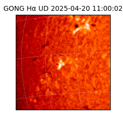 gong - 2025-04-20T11:00:02