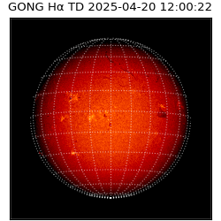gong - 2025-04-20T12:00:22