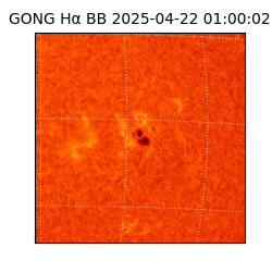 gong - 2025-04-22T01:00:02