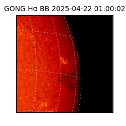 gong - 2025-04-22T01:00:02