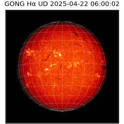 gong - 2025-04-22T06:00:02