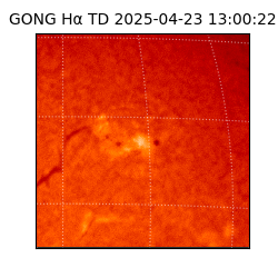 gong - 2025-04-23T13:00:22