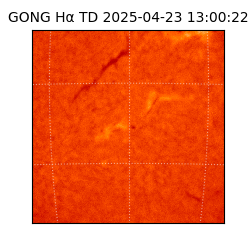 gong - 2025-04-23T13:00:22