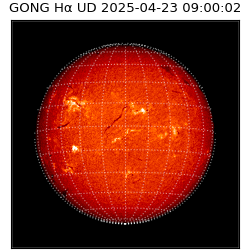 gong - 2025-04-23T09:00:02
