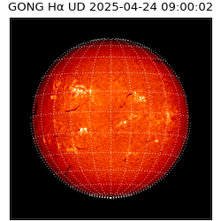 gong - 2025-04-24T09:00:02