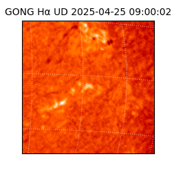 gong - 2025-04-25T09:00:02