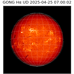 gong - 2025-04-25T07:00:02