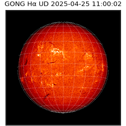 gong - 2025-04-25T11:00:02