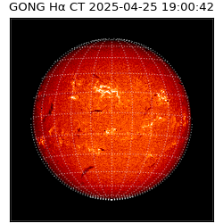 gong - 2025-04-25T19:00:42