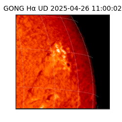gong - 2025-04-26T11:00:02