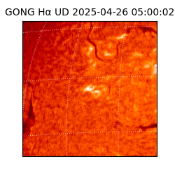 gong - 2025-04-26T05:00:02