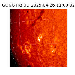 gong - 2025-04-26T11:00:02