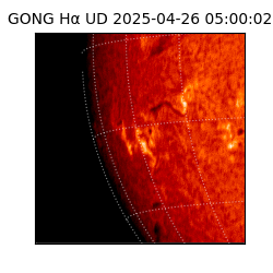 gong - 2025-04-26T05:00:02
