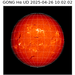 gong - 2025-04-26T10:02:02